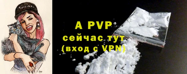 гашик Новозыбков
