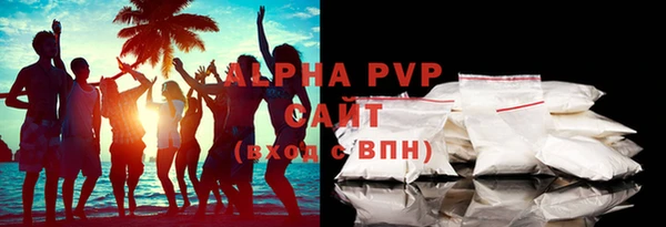 гашик Новозыбков