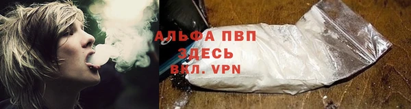 тгк Новокубанск