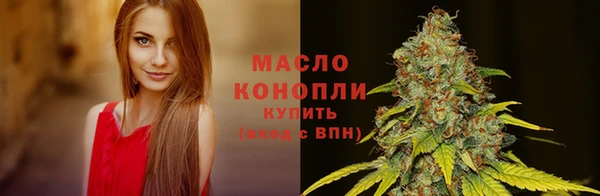 прущие крисы Новодвинск