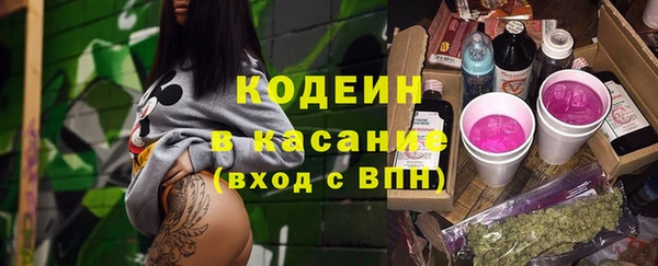 гашик Новозыбков