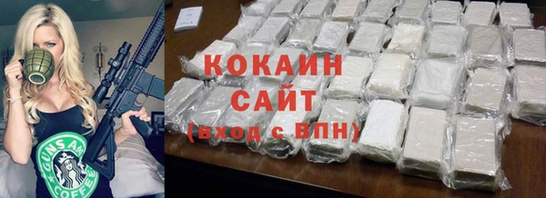 гашик Новозыбков