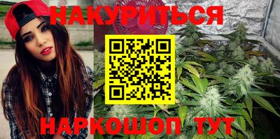 индика Жуковский