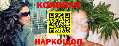a pvp Камышлов