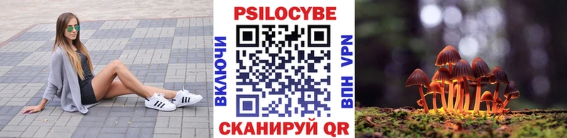 Псилоцибиновые грибы Cubensis  Нальчик 