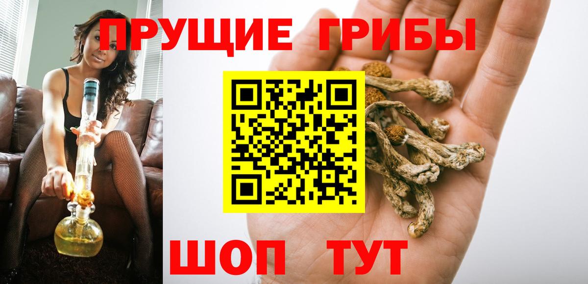 хочу наркоту  Псилоцибиновые грибы MAGIC MUSHROOMS  Нальчик  Вход с VPN  Псилоцибиновые грибы MAGIC MUSHROOMS 