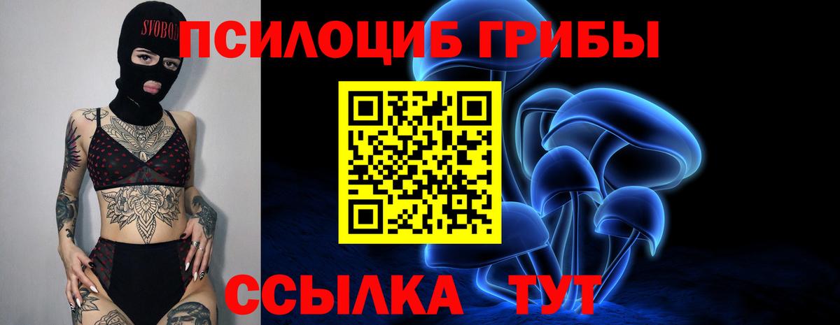 Галлюциногенные грибы Magic Shrooms Нальчик